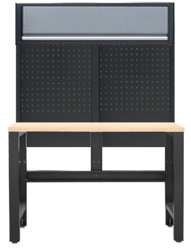 WORKBENCH SP WORKSHOP SERIES